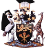 Category Image
