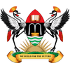 Category Image