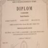 Buy college degree Trencianska Univerzita Alexandra Dubceka v Trencíne