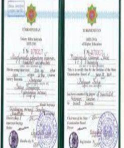 Buy Degree From the State Energy Institute of Turkmenistan
