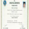 Buy college degree from the Dokuz Eylül Üniversitesi