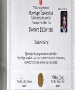 Buy college degree from the  Hacettepe Üniversitesi
