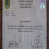 Buy college degree from the Istanbul Üniversitesi