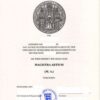 Buy college degree from the Ruprecht-Karls-Universität Heidelberg