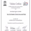 Buy college degree from the South Ural State University