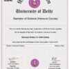 Buy college degree from the University of Delhi
