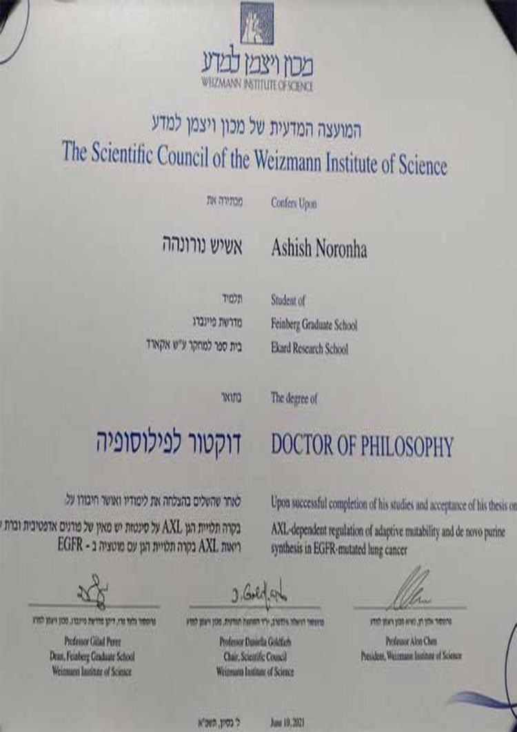 Buy college degree from the Weizmann Institute of Science
