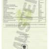 Buy high school diploma Austria Wien Matura